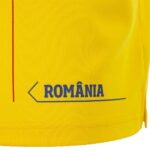 Tricou oficial prezentare națională România 2023 - Polo / Galben - imagine 6
